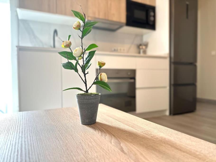 Apartamentos Rincon Andaluz 4 Cordoba Luaran gambar